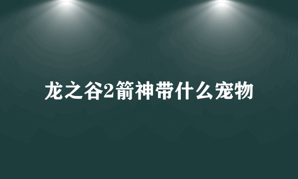 龙之谷2箭神带什么宠物