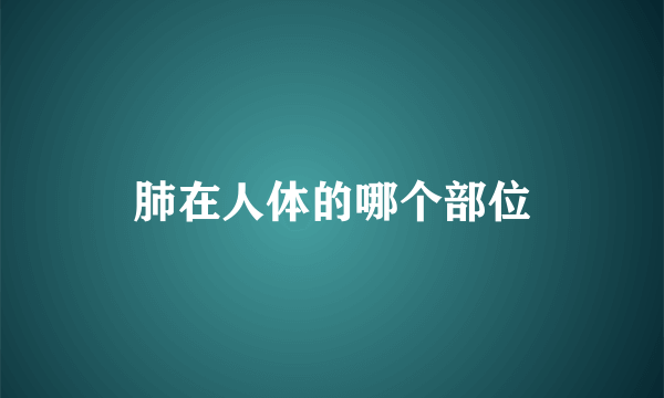 肺在人体的哪个部位