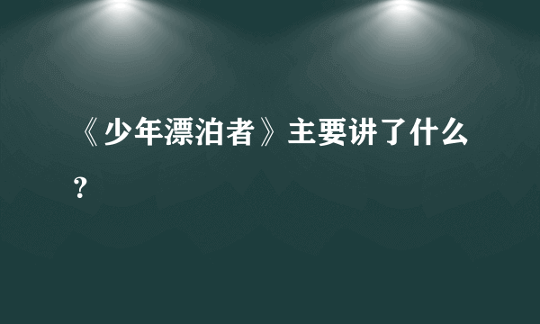 《少年漂泊者》主要讲了什么？