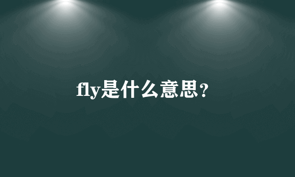 fly是什么意思？