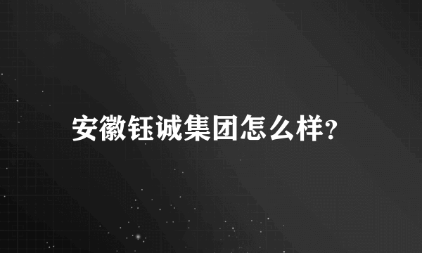 安徽钰诚集团怎么样？