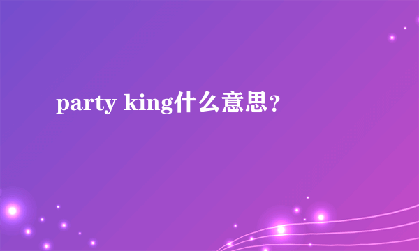 party king什么意思？