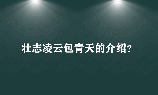 壮志凌云包青天的介绍？