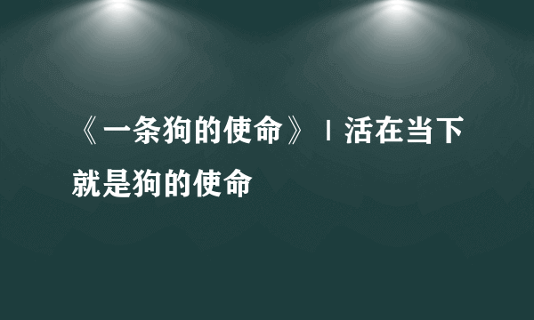 《一条狗的使命》｜活在当下就是狗的使命