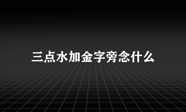 三点水加金字旁念什么