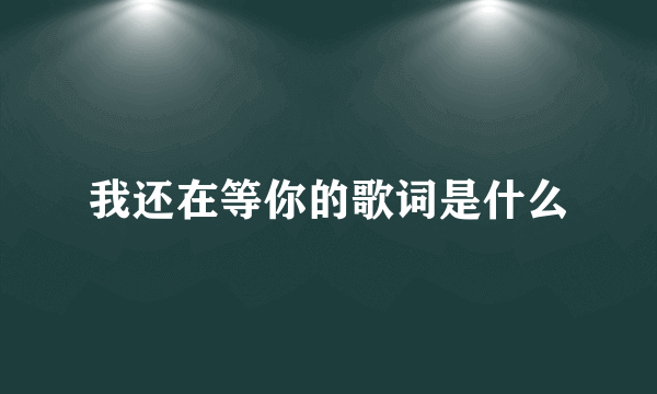 我还在等你的歌词是什么