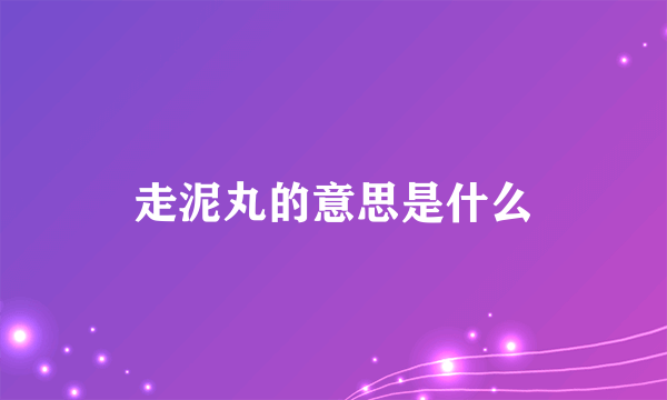 走泥丸的意思是什么