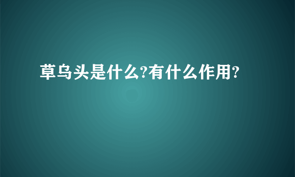 草乌头是什么?有什么作用?