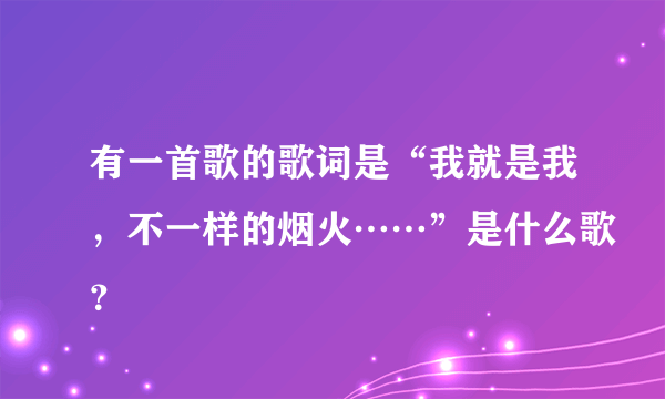 有一首歌的歌词是“我就是我，不一样的烟火……”是什么歌？