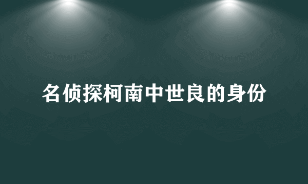 名侦探柯南中世良的身份