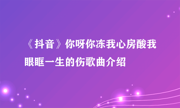 《抖音》你呀你冻我心房酸我眼眶一生的伤歌曲介绍