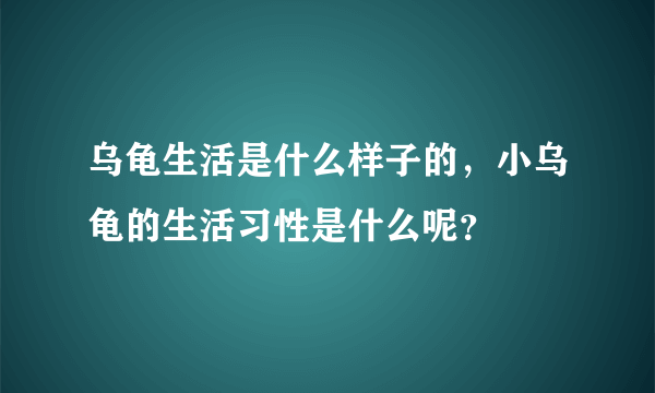 乌龟生活是什么样子的，小乌龟的生活习性是什么呢？