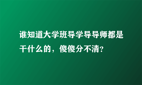 谁知道大学班导学导导师都是干什么的，傻傻分不清？