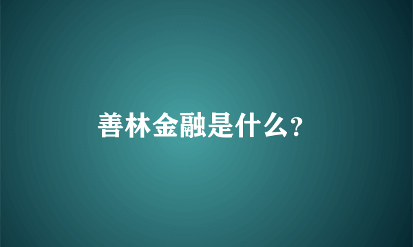 善林金融是什么？