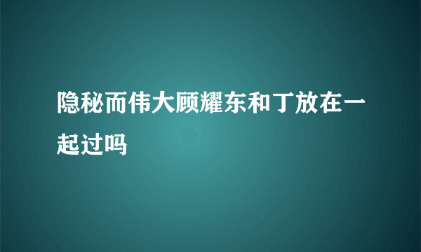 隐秘而伟大顾耀东和丁放在一起过吗