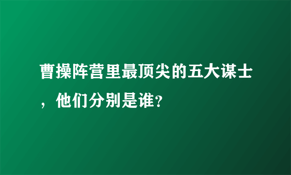 曹操阵营里最顶尖的五大谋士，他们分别是谁？