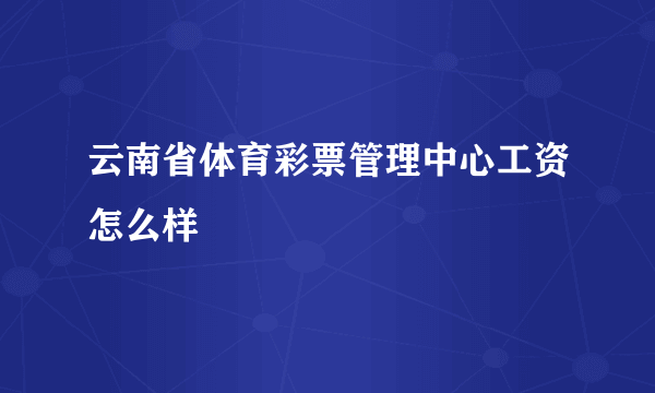 云南省体育彩票管理中心工资怎么样