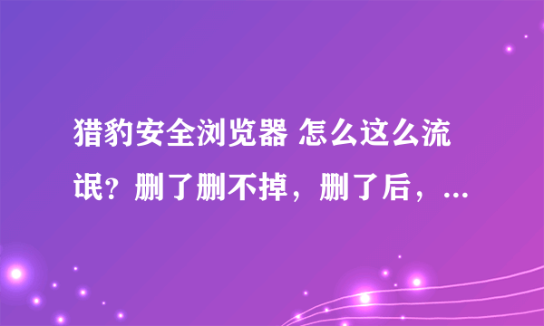 猎豹安全浏览器 怎么这么流氓？删了删不掉，删了后，电脑管家里看不到，控制面板也看不到，