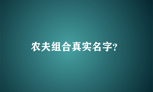 农夫组合真实名字？