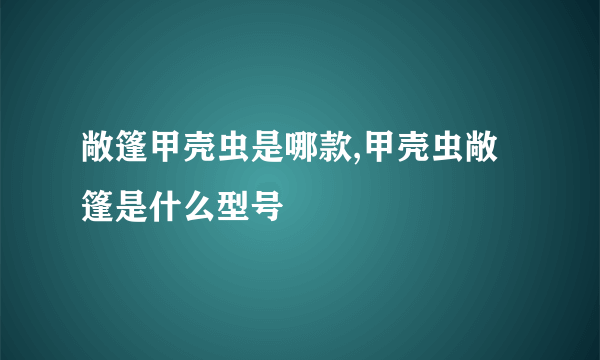 敞篷甲壳虫是哪款,甲壳虫敞篷是什么型号