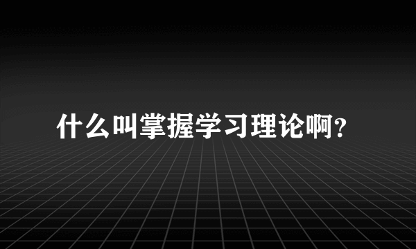 什么叫掌握学习理论啊？