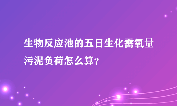 生物反应池的五日生化需氧量污泥负荷怎么算？