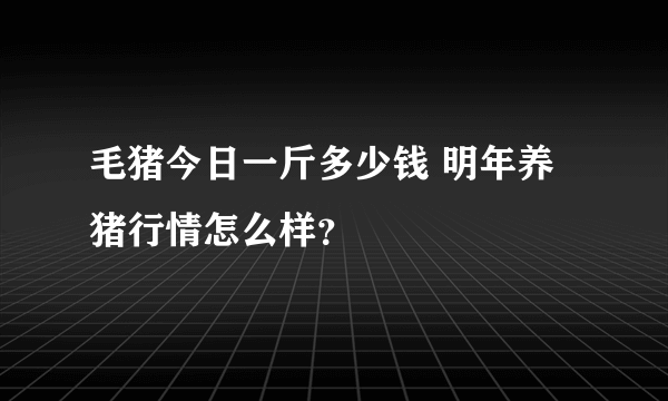 毛猪今日一斤多少钱 明年养猪行情怎么样？