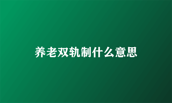 养老双轨制什么意思