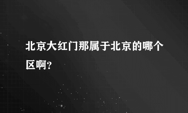 北京大红门那属于北京的哪个区啊？