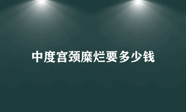 中度宫颈糜烂要多少钱