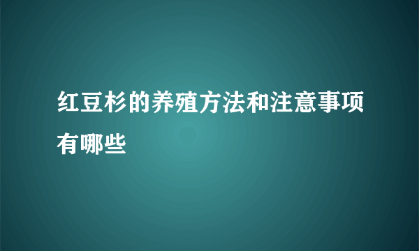 红豆杉的养殖方法和注意事项有哪些