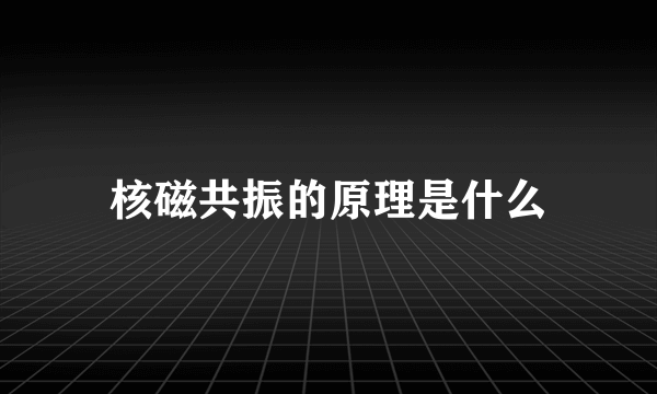 核磁共振的原理是什么