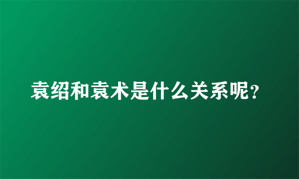 袁绍和袁术是什么关系呢？