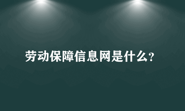 劳动保障信息网是什么？