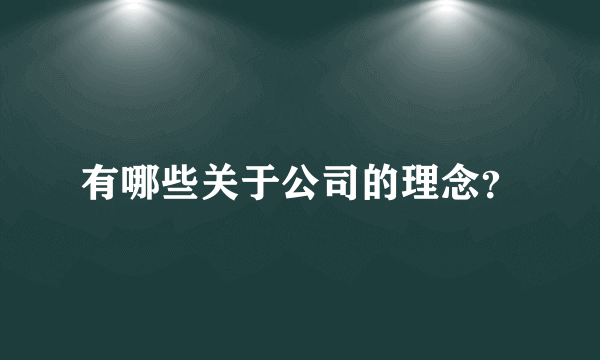 有哪些关于公司的理念？