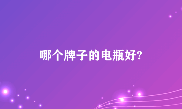 哪个牌子的电瓶好?