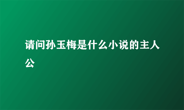 请问孙玉梅是什么小说的主人公