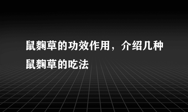 鼠麴草的功效作用，介绍几种鼠麴草的吃法