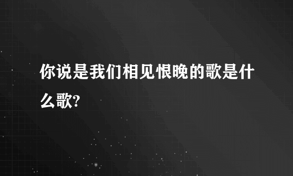 你说是我们相见恨晚的歌是什么歌?