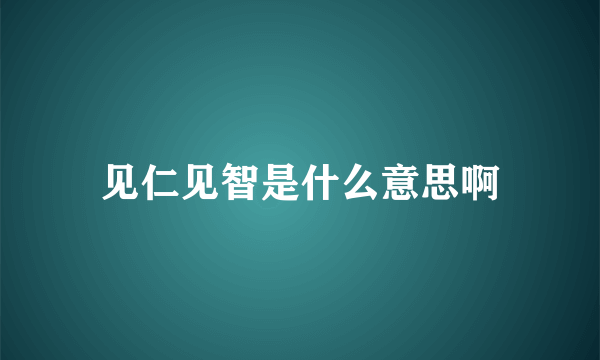 见仁见智是什么意思啊