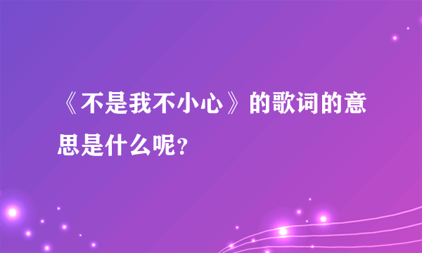 《不是我不小心》的歌词的意思是什么呢？