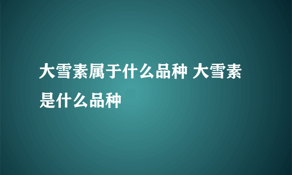 大雪素属于什么品种 大雪素是什么品种