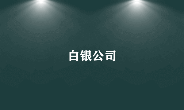 白银公司