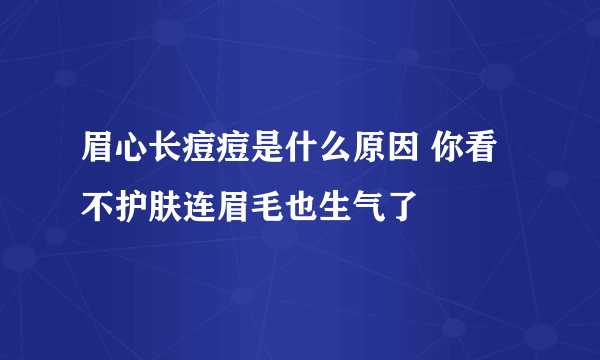 眉心长痘痘是什么原因 你看不护肤连眉毛也生气了