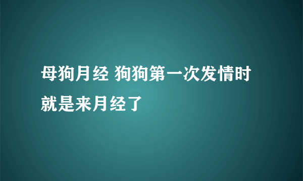 母狗月经 狗狗第一次发情时就是来月经了