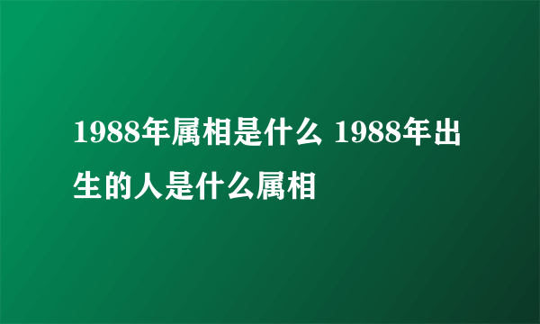 1988年属相是什么 1988年出生的人是什么属相