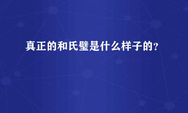 真正的和氏璧是什么样子的？