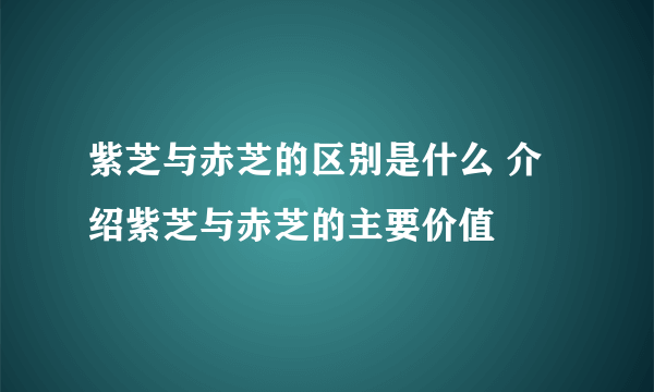 紫芝与赤芝的区别是什么 介绍紫芝与赤芝的主要价值