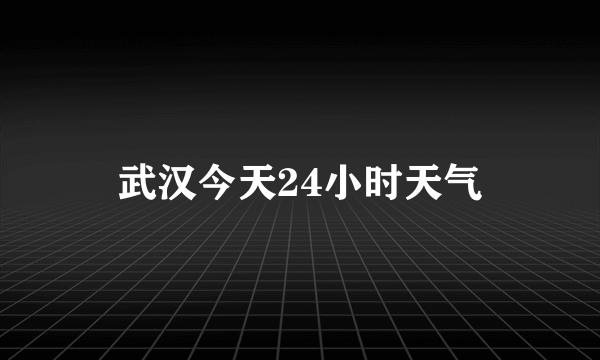 武汉今天24小时天气