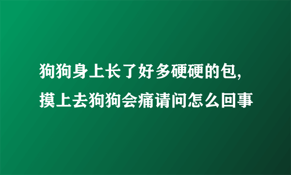 狗狗身上长了好多硬硬的包,摸上去狗狗会痛请问怎么回事